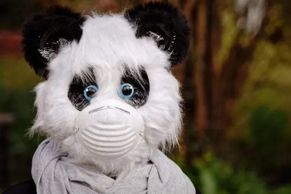 Vegadream Casino Supporto